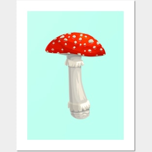 Mushroom Master Fly Agaric Posters and Art